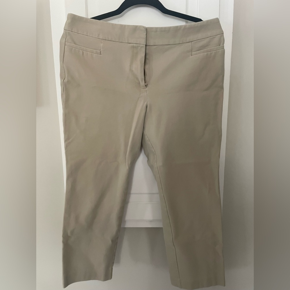 Ann Taylor Factory petite cropped pant-10P